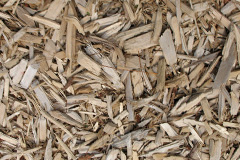 biomass boilers Bare