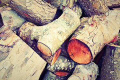 Bare wood burning boiler costs
